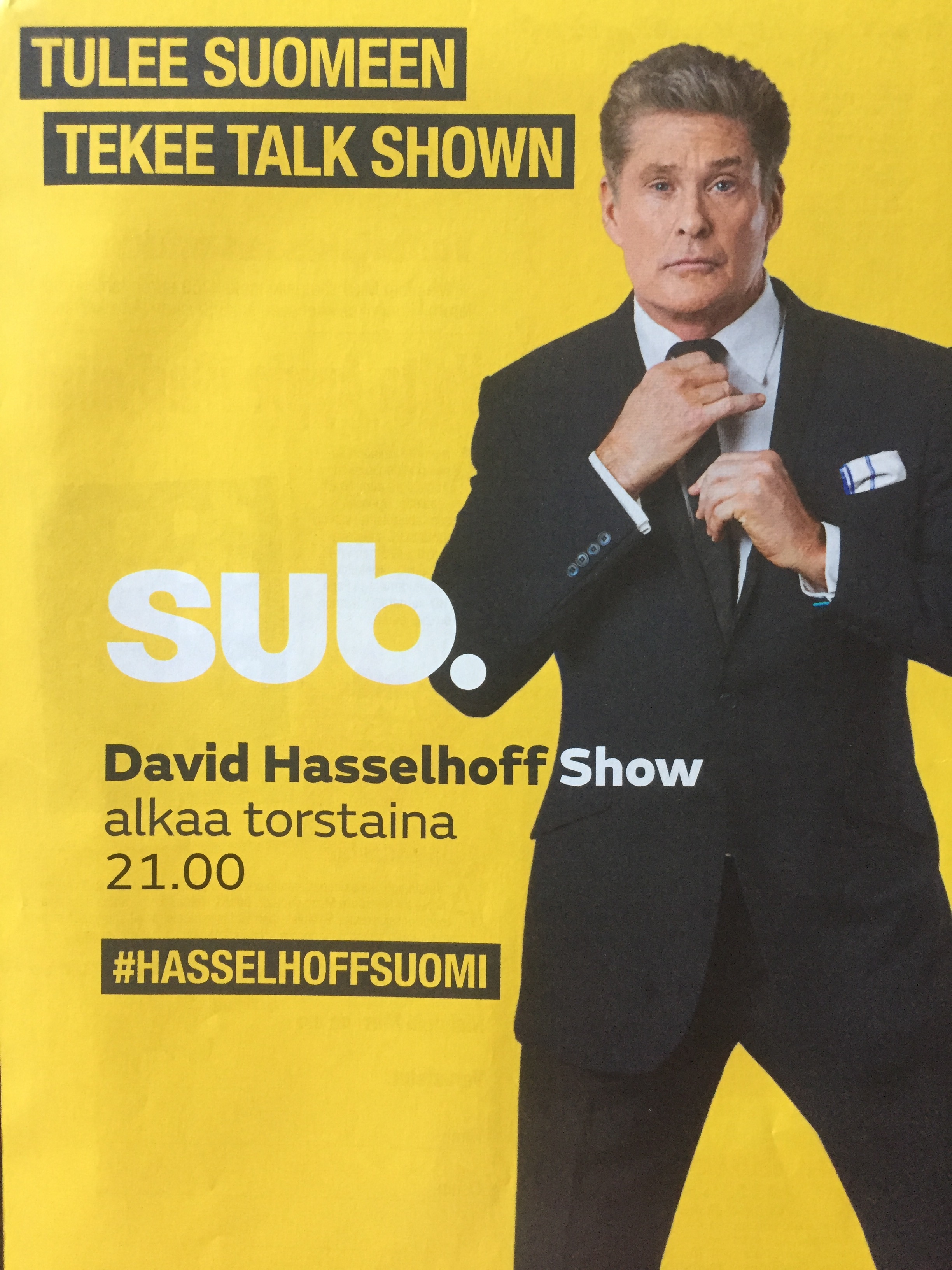 David Hasselhoff Show (2015)